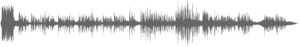 audio-collonil-voiceover-englischer-sprecher