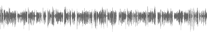 audio-weber-voiceover-englischer-sprecher