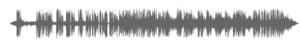 audio-magic-city-voiceover-englischer-sprecher
