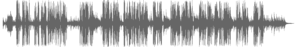 audio-vaillaint-voiceover-englischer-sprecher