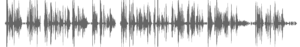 audio-controllers-voiceover-englischer-sprecher